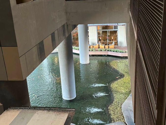 รูป RS7398 ขาย ให้เช่า The Pano พระราม 3 River Front ห้องขนาดใหญ่โซน River Front วิวแม่น้ำและสระบัวของโครงการ สภาพใหม่มาก รีโนเวตพร้อมเข้าอยู่ - รูปที่ 8/8