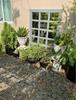 listing thumbnail image 34
