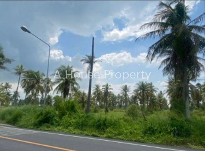 รูป ขายที่ดิน EEC บางพระ ศรีราชา ชลบุรี ทำเลทอง เหมาะลงทุน - รูปที่ 2/5