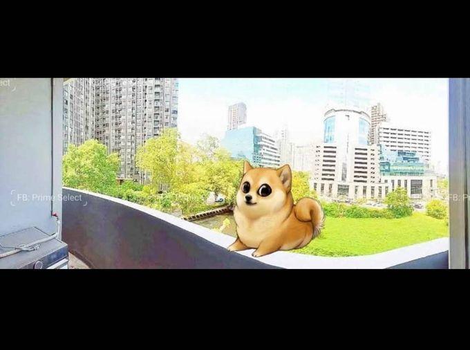picture 🏢Condo for Rent | 🐶Pet Friendly | 📍Witthayu/Wireless | Ploenchit | 💰30,000 THB | 🏙️Prime Bangkok | 🚝BTS Ploenchit | 🏊Pool | 🏋️Gym - 8/8