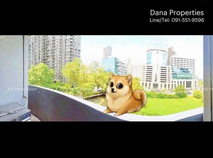 picture 🏢Condo for Rent | 🐶Pet Friendly | 📍Witthayu/Wireless | Ploenchit | 💰30,000 THB | 🏙️Prime Bangkok | 🚝BTS Ploenchit | 🏊Pool | 🏋️Gym - 8/8