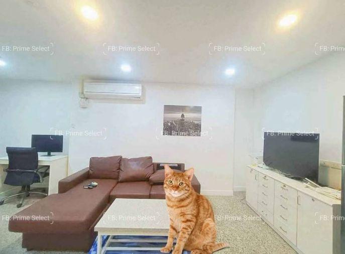 picture 🏢Condo for Rent | 🐶Pet Friendly | 📍Wireless Road | Ploenchit | 🏙️Central Bangkok | 🚝BTS Ploenchit | 🏬Central Embassy | 🏊Pool | 🏋️Gym - 2/7