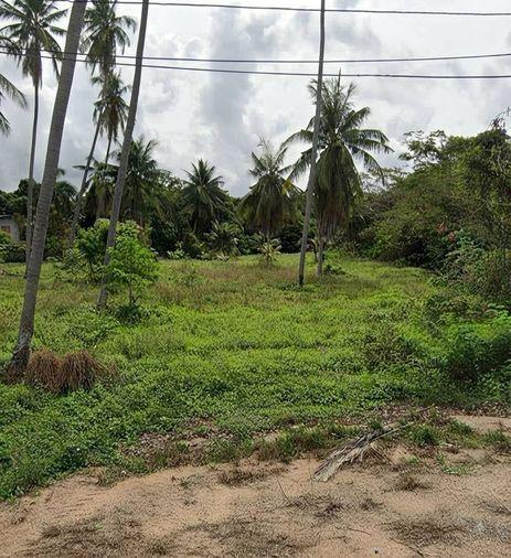 picture Prime land for sale in Bang Saray. Beautiful plot, great atmosphere, ideal for investment. - 4/7