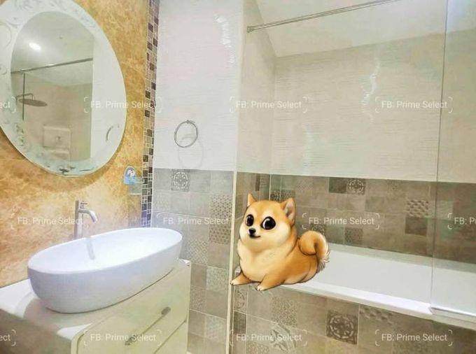 picture 🏢Condo for Rent | 🐶Pet Friendly | 📍Witthayu/Wireless | Ploenchit | 💰30,000 THB | 🏙️Prime Bangkok | 🚝BTS Ploenchit | 🏊Pool | 🏋️Gym - 5/8