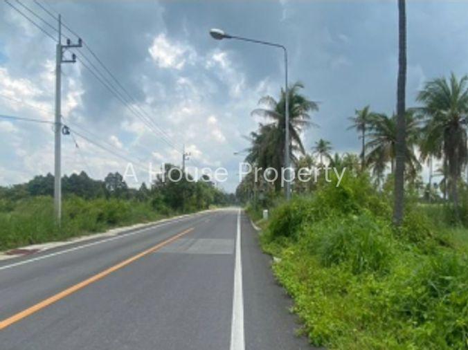 รูป ขายที่ดิน EEC บางพระ ศรีราชา ชลบุรี ทำเลทอง เหมาะลงทุน - รูปที่ 3/5