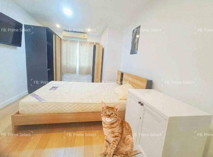 picture 🏢Condo for Rent | 🐶Pet Friendly | 📍Wireless Road | Ploenchit | 🏙️Central Bangkok | 🚝BTS Ploenchit | 🏬Central Embassy | 🏊Pool | 🏋️Gym - 3/7