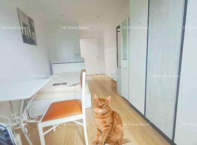 picture 🏢Condo for Rent | 🐶Pet Friendly | 📍Wireless Road | Ploenchit | 🏙️Central Bangkok | 🚝BTS Ploenchit | 🏬Central Embassy | 🏊Pool | 🏋️Gym - 4/7