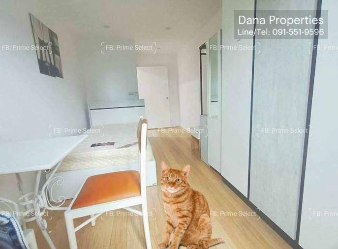 picture ðĒCondo for Rent | ðķPet Friendly | ðWireless Road | Ploenchit | ðïļCentral Bangkok | ðBTS Ploenchit | ðŽCentral Embassy | ðPool | ðïļGym - 4/7