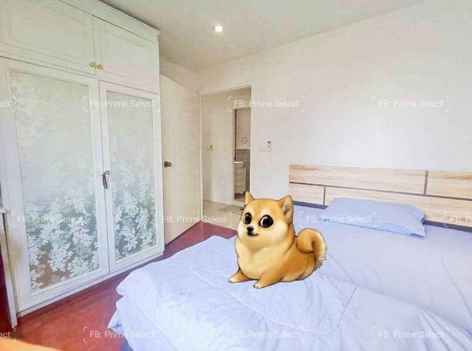 picture 🏢Condo for Rent | 🐶Pet Friendly | 📍Witthayu/Wireless | Ploenchit | 💰30,000 THB | 🏙️Prime Bangkok | 🚝BTS Ploenchit | 🏊Pool | 🏋️Gym - 4/8