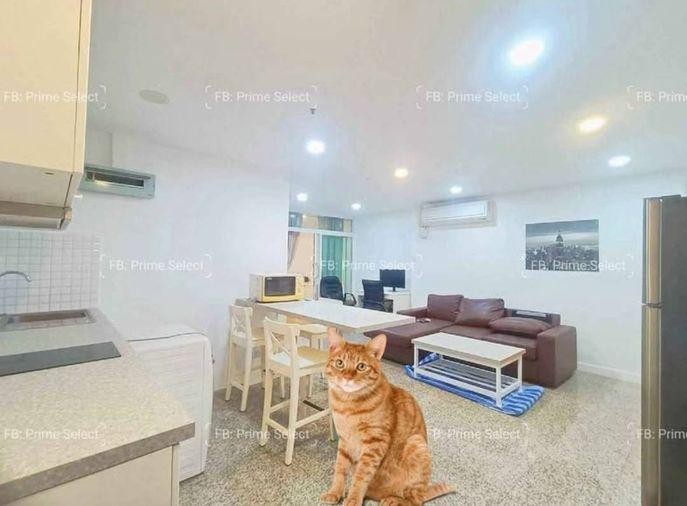 picture 🏢Condo for Rent | 🐶Pet Friendly | 📍Wireless Road | Ploenchit | 🏙️Central Bangkok | 🚝BTS Ploenchit | 🏬Central Embassy | 🏊Pool | 🏋️Gym - 1/7
