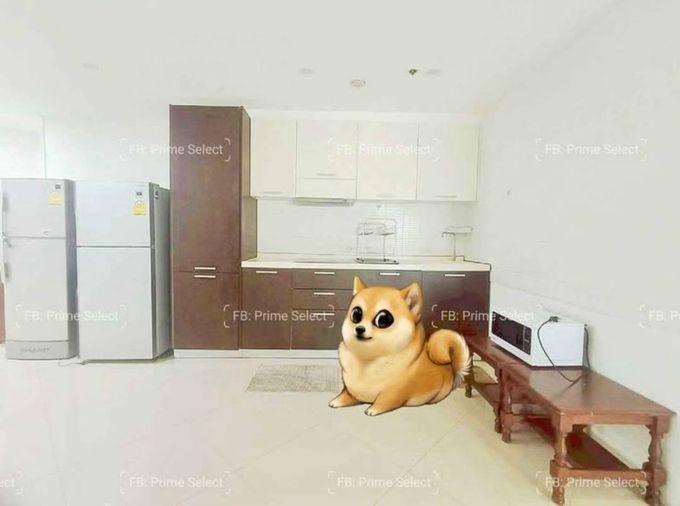 picture 🏢Condo for Rent | 🐶Pet Friendly | 📍Witthayu/Wireless | Ploenchit | 💰30,000 THB | 🏙️Prime Bangkok | 🚝BTS Ploenchit | 🏊Pool | 🏋️Gym - 6/8