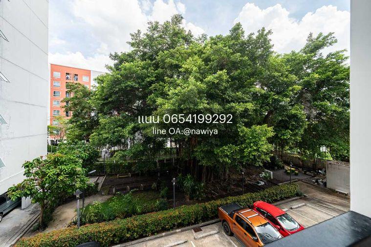 picture BL180826 For sale UNIO Charan 3 - 30/34