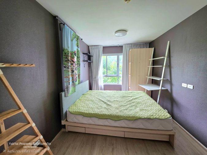 picture ðĄ Beautiful condo for rent at Elio Del Ray, Sukhumvit 64. Pool view, peaceful atmosphere, ready to move in. - 4/23