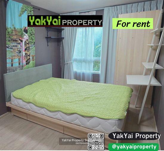 picture ðĄ Beautiful condo for rent at Elio Del Ray, Sukhumvit 64. Pool view, peaceful atmosphere, ready to move in. - 1/23