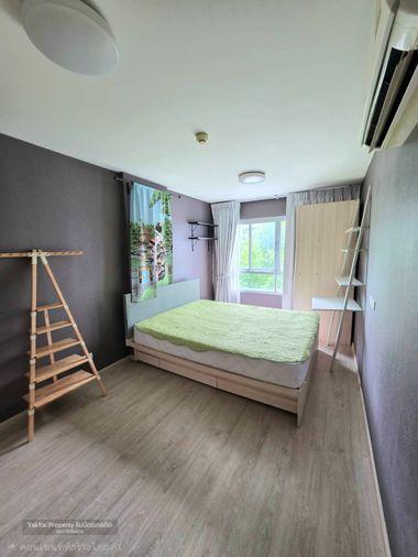 picture ðĄ Beautiful condo for rent at Elio Del Ray, Sukhumvit 64. Pool view, peaceful atmosphere, ready to move in. - 2/23