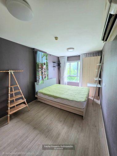 picture ðĄ Beautiful condo for rent at Elio Del Ray, Sukhumvit 64. Pool view, peaceful atmosphere, ready to move in. - 2/23