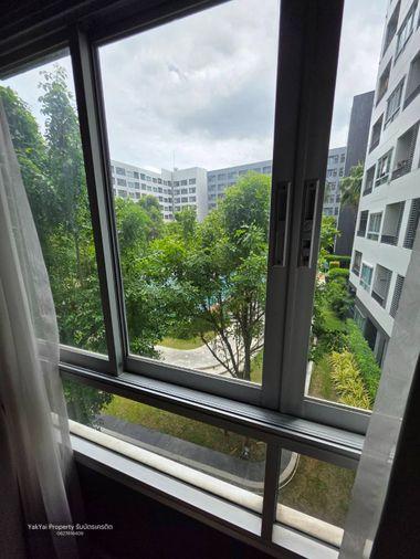 picture ðĄ Beautiful condo for rent at Elio Del Ray, Sukhumvit 64. Pool view, peaceful atmosphere, ready to move in. - 14/23