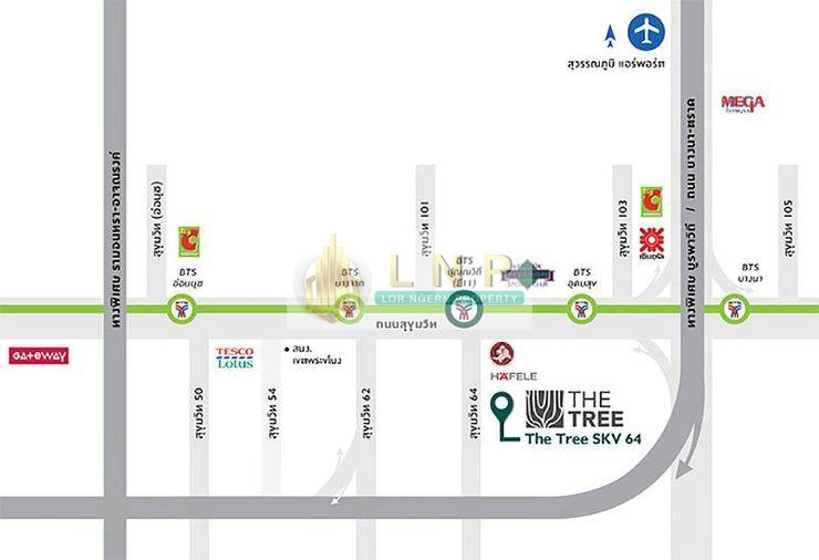 picture ðĒ Condo for Sale : The Tree Sukhumvit 64 Property Code | LNP-C14427 - 17/18