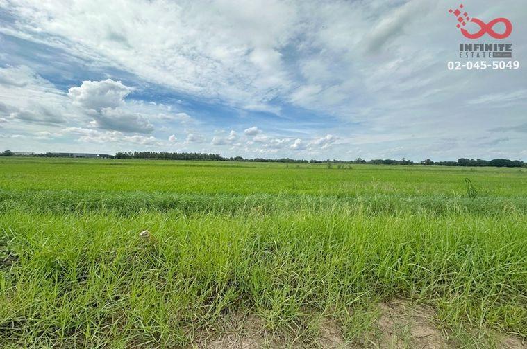รูป ขายที่ดิน 200 ตร.ว. คลองสี่ คลองหลวง ปทุมธานี แปลงสวย ราคาดี - รูปที่ 7/9