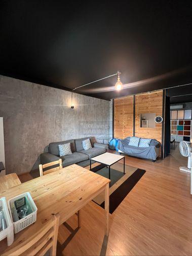 picture Specious studio 61 sqm, just renovated - 12/25