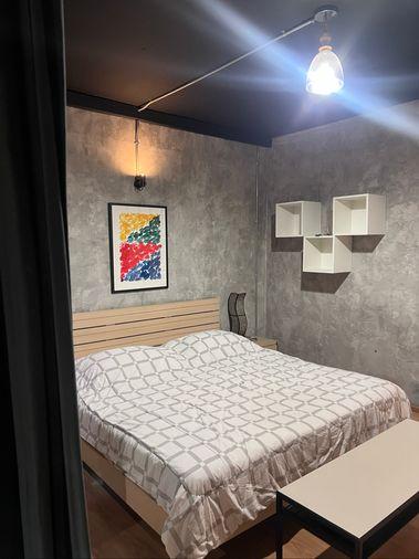 picture Specious studio 61 sqm, just renovated  - 10/25