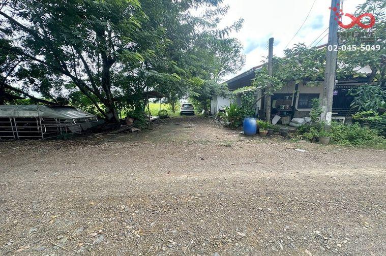 รูป ขายที่ดิน 200 ตร.ว. คลองสี่ คลองหลวง ปทุมธานี แปลงสวย ราคาดี - รูปที่ 3/9