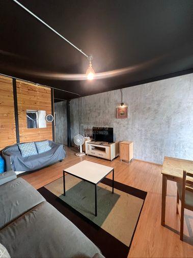 picture Specious studio 61 sqm, just renovated - 13/25