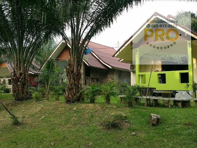 รูป HUB-576🏘️บ้านชั้นเดียว ภูเขางาม รีสอร์ท-นครนายก-สาริกา สุดคุ้ม เพียง 1.39 ล้าน☘️ 2 นอนและ 3 ห้องน้ำ☘️ // 0659174222 // **สินเชื่อ ฟรี** กู้เต็ม 100% - รูปที่ 5/6