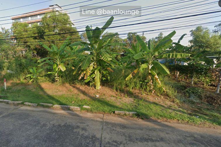 รูป ขายที่ดิน หลักหก รังสิต ปทุมธานี ใกล้ มหาวิทยาลัยรังสิต สนามกอลฟ์ - รูปที่ 2/4