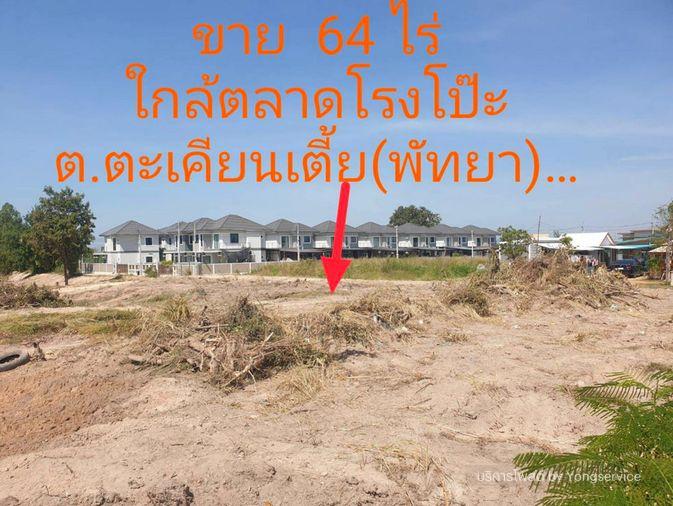รูป Call : 094-117-0460 ขายที่ดินเปล่า 64 ไร่ (ผังสีส้ม) โซนแหลมฉบัง พัทยา ตำบลตะเคียนเตี้ย บางละมุง ชลบุรี เพียง 1 กม. ถึงตลาดโรงโป๊ะ - รูปที่ 1/11