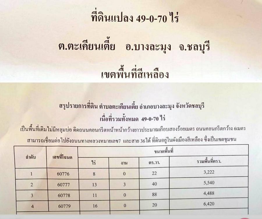 รูป Call : 094-117-0460 ขายที่ดินพัทยา แหลมฉบัง นาเกลือ เนื้อที่ 49 ไร่ (พื้นที่สีเหลือง) ตำบลตะเคียนเตี้ย บางละมุง ชลบุรี เพียง 10 นาที ถึงถนนสุขุมวิท - รูปที่ 9/12