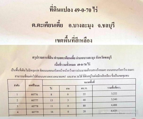 รูป Call : 094-117-0460 ขายที่ดินพัทยา แหลมฉบัง นาเกลือ เนื้อที่ 49 ไร่ (พื้นที่สีเหลือง) ตำบลตะเคียนเตี้ย บางละมุง ชลบุรี เพียง 10 นาที ถึงถนนสุขุมวิท - รูปที่ 9/12