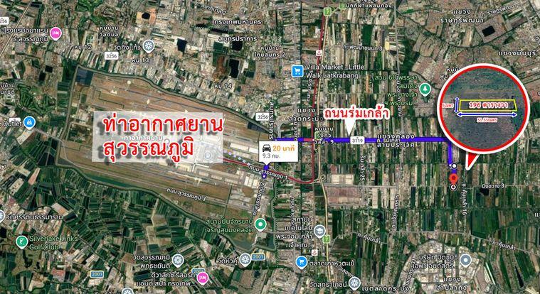 รูป ขายที่ดินเปล่า 196 ตร.ว. ทำเลศักยภาพ ซอยร่มเกล้า 19 (ใกล้สุวรรณภูมิและแอร์พอร์ตลิงก์) - รูปที่ 12/14