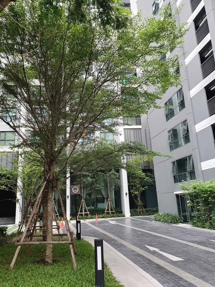 รูป 🏢 ขายคอนโด : Life Sukhumvit 48 (ไลฟ์ สุขุมวิท 48)   รหัสทรัพย์ | 📌LNP-C14449  - รูปที่ 16/18