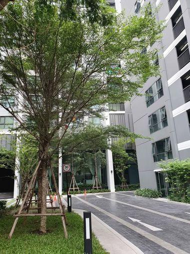 รูป 🏢 ขายคอนโด : Life Sukhumvit 48 (ไลฟ์ สุขุมวิท 48)   รหัสทรัพย์ | 📌LNP-C14449  - รูปที่ 16/18