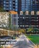 listing thumbnail image 12