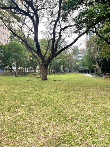 picture 🏢 Condo for Sale : THE LINE Phahonyothin Park   Property Code | LNP-C14481 - 15/18