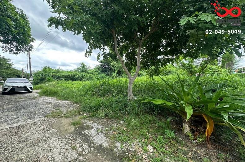 รูป ขายที่ดิน สุขุมวิท 77 ศรีนครินทร์ ซ.อ่อนนุช 66 แปลงมุม 110 ตร.ว. เหมาะสร้างบ้าน ใกล้รถไฟฟ้าสายสีเหลือง - รูปที่ 5/6