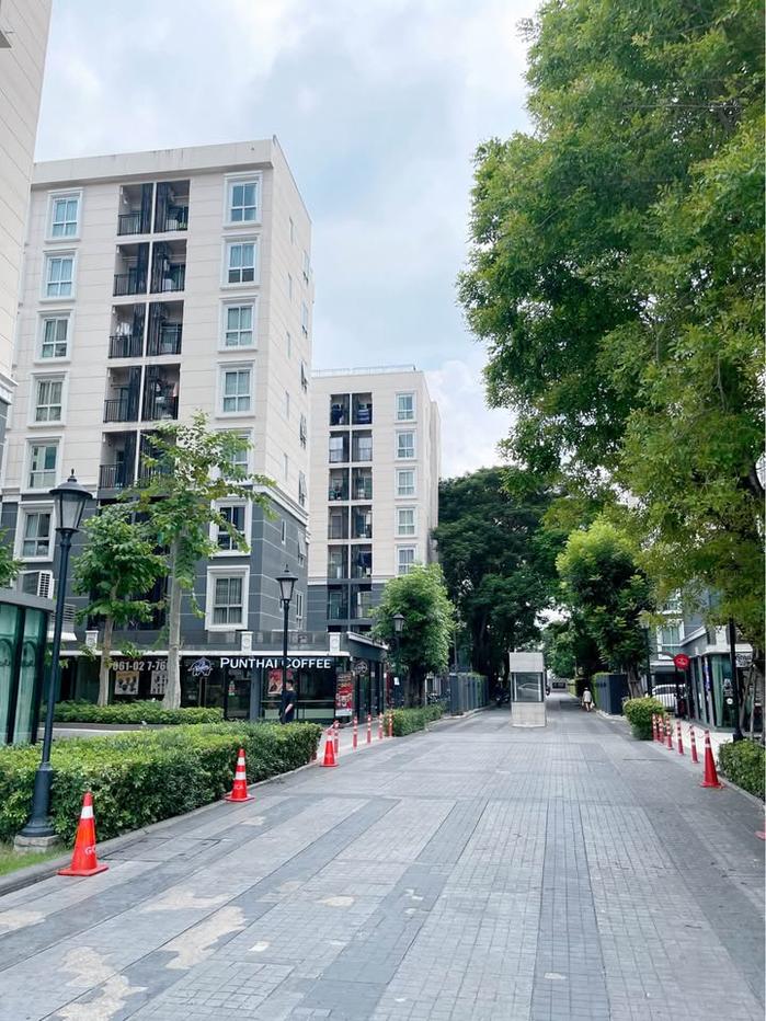 รูป 🟠ขายด่วน !! คอนโด พลัมคอนโด แจ้งวัฒนะ สเตชั่น เฟส 3 Plum Condo Chaengwattana ลดราคาพิเศษ  ✅หิ้วกระเป๋าพร้อมเข้าอยู่ได้เลย - รูปที่ 9/13