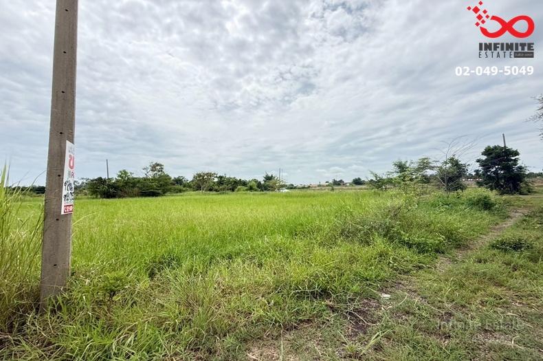 รูป ขายที่ดิน 200 ตร.ว. ถนนโชคชัย - เดชอุดม ท่าเยี่ยม โชคชัย นครราชสีมา ใกล้โรงงาน CP และไทยฟู้ดส์ เหมาะสร้างห้องพัก - รูปที่ 3/8