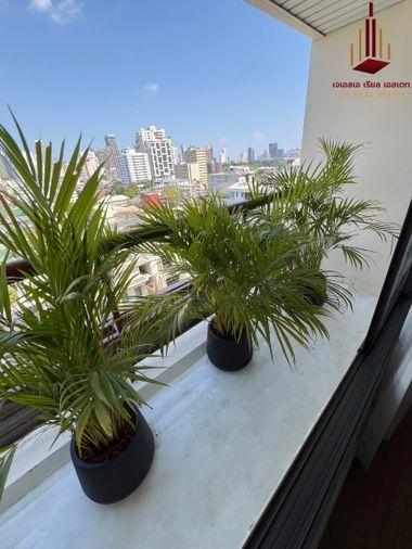 picture ✨ For Sale : Baan Ploenchit  Condo ✨  💰 Only 16,900,000 THB - 9/10