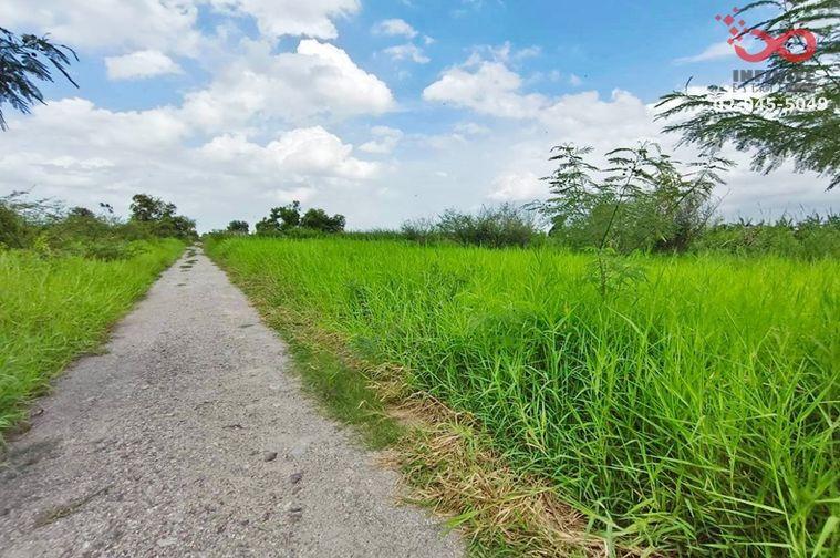 รูป ขายที่ดิน 3 ไร่ ลำลูกกา คลอง 12 ปทุมธานี ใกล้สนามกอล์ฟเรนวูดปาร์ค แปลงสวย  - รูปที่ 1/4
