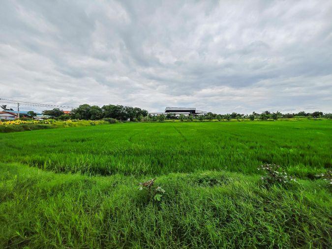 รูป ขายด่วน! ที่ดิน 14 ไร่ ติดถนนศาลายา นครชัยศรี - รูปที่ 3/5