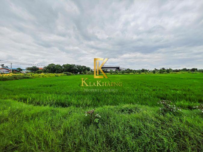 รูป ขายด่วน! ที่ดิน 14 ไร่ ติดถนนศาลายา นครชัยศรี - รูปที่ 3/5