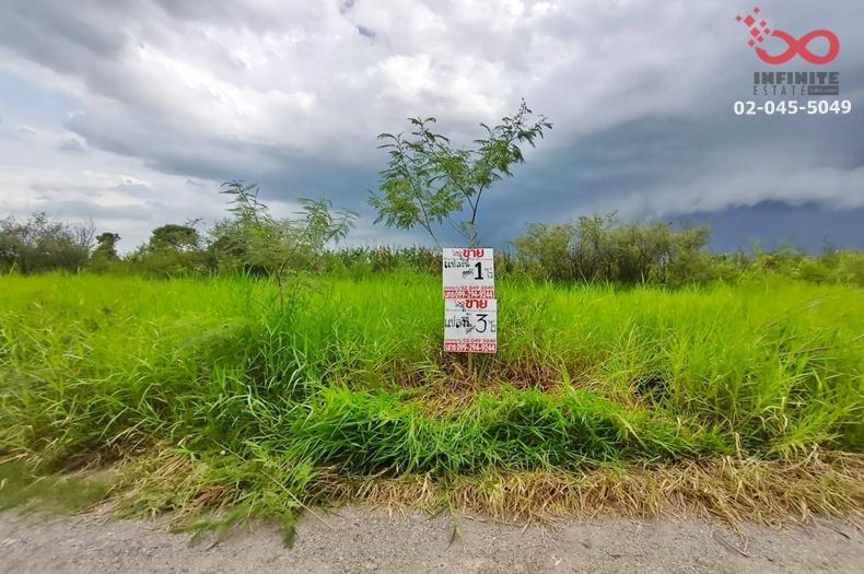 รูป ขายที่ดิน 3 ไร่ ลำลูกกา คลอง 12 ปทุมธานี ใกล้สนามกอล์ฟเรนวูดปาร์ค แปลงสวย  - รูปที่ 3/4