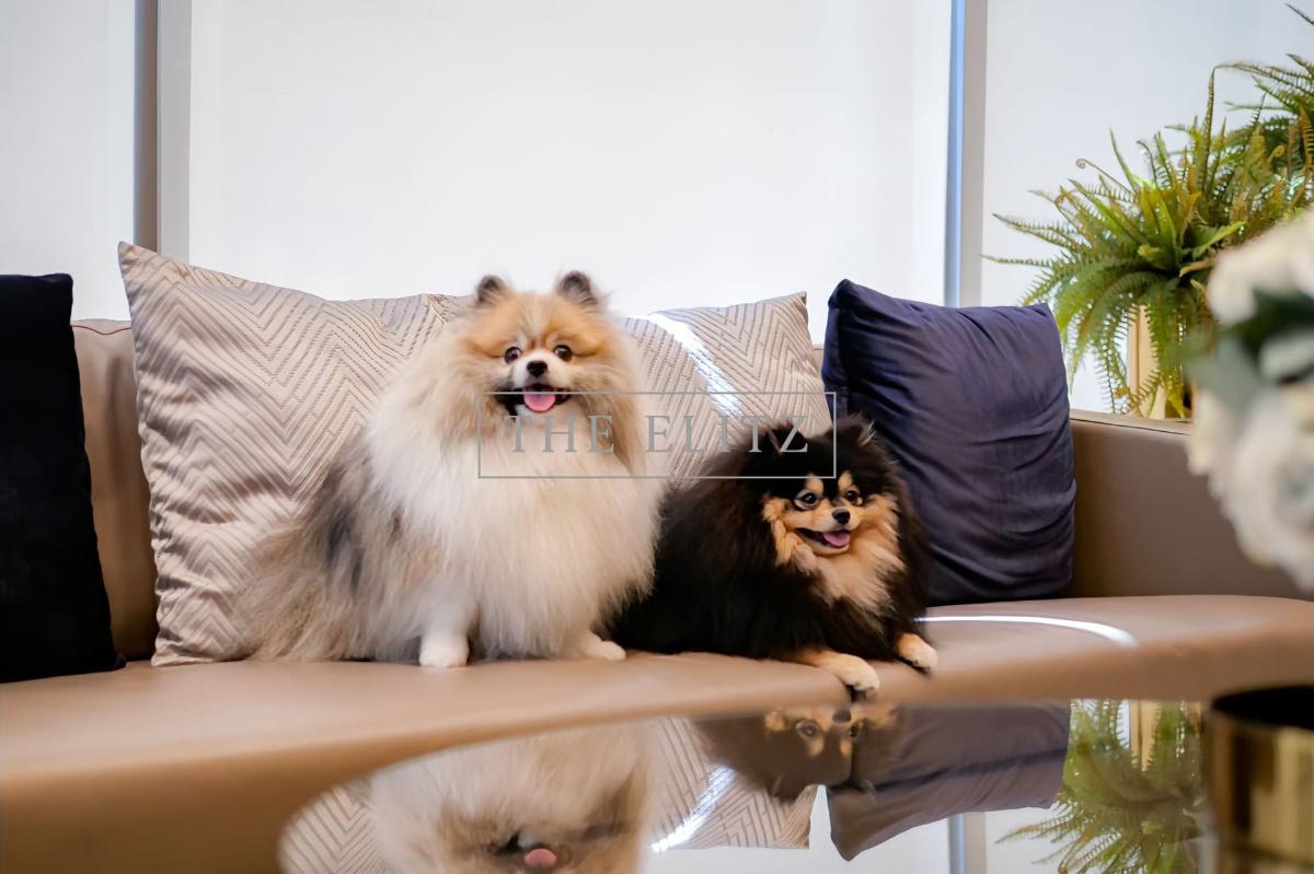 picture ✨ Super Luxury Low-Rise Sanctuary in Phrom Phong (Sukhumvit 41) | Supreme Privacy & Pet-Friendly Environment ✨ - 19/23