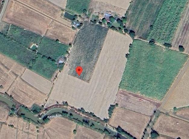 picture 36 Rai Land for Sale Nong Ko Kranuan Khon Kaen - 3/4