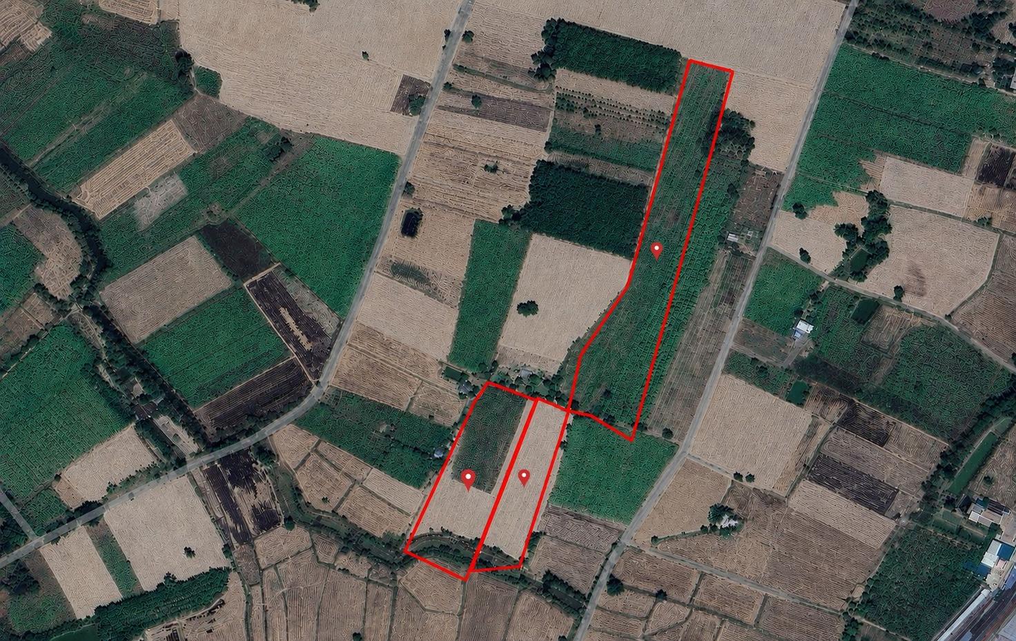 picture 36 Rai Land for Sale Nong Ko Kranuan Khon Kaen - 1/4