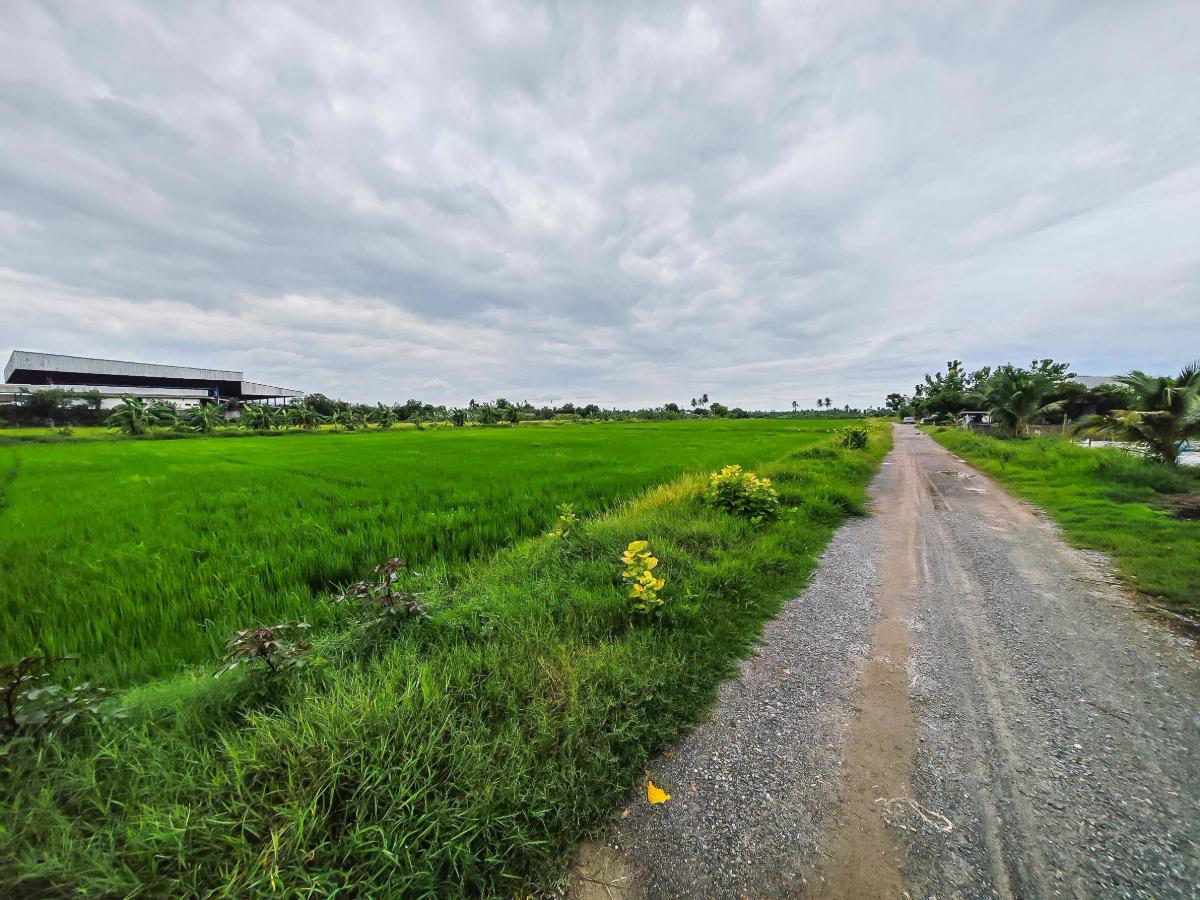 รูป ขายด่วน! ที่ดิน 14 ไร่ ติดถนนศาลายา นครชัยศรี - รูปที่ 4/5