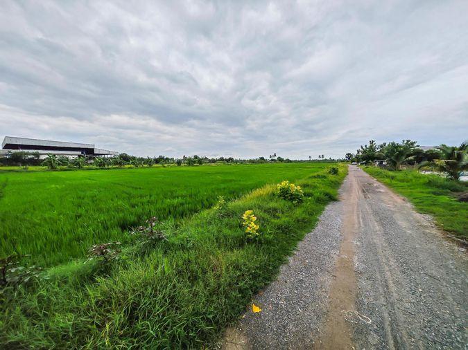 รูป ขายด่วน! ที่ดิน 14 ไร่ ติดถนนศาลายา นครชัยศรี - รูปที่ 4/5